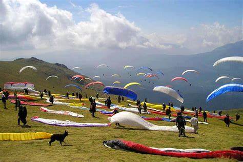 Paragliding